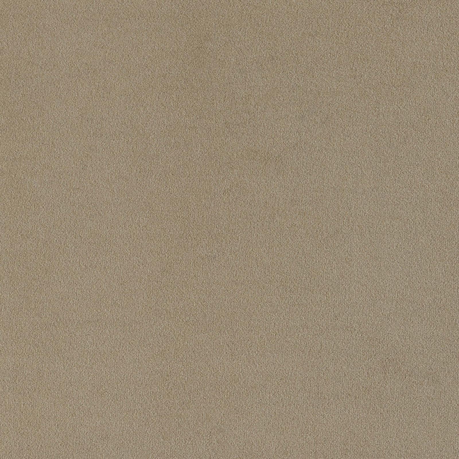Rainn Latte Upholstered Tight Back Sofa - Image 10