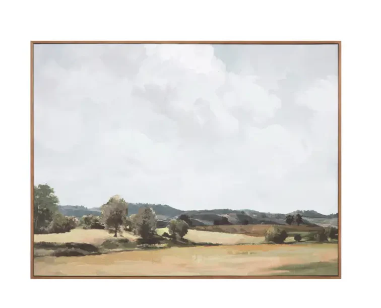 Vast Country Framed Painting
